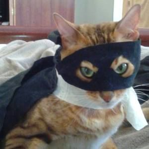 Meet your Posher, Polly